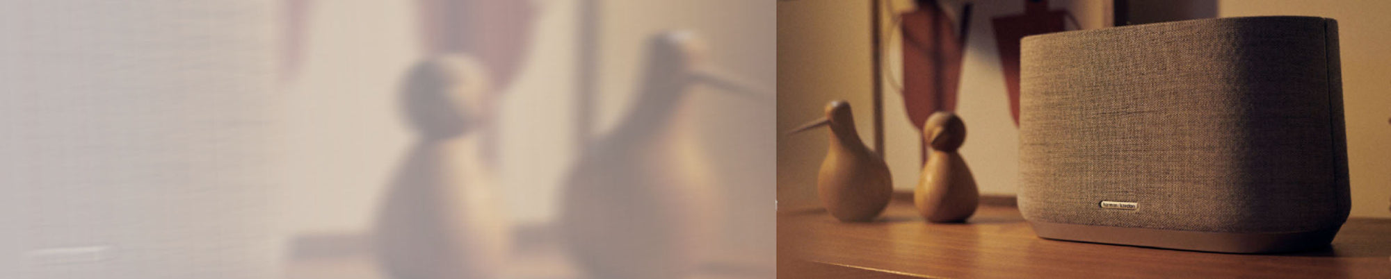 banner_0003_1